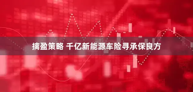摛盈策略 千亿新能源车险寻承保良方