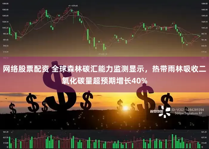 网络股票配资 全球森林碳汇能力监测显示，热带雨林吸收二氧化碳量超预期增长40%