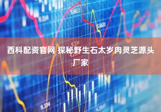 西科配资官网 探秘野生石太岁肉灵芝源头厂家